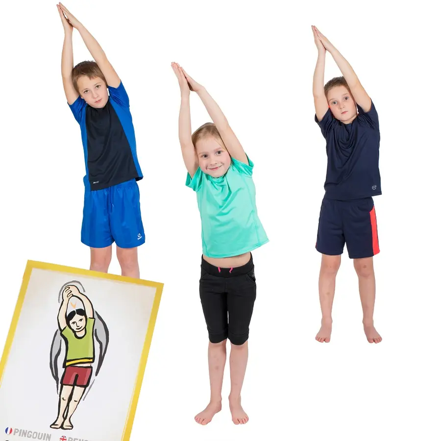 PedaYoga Positionskarten 
