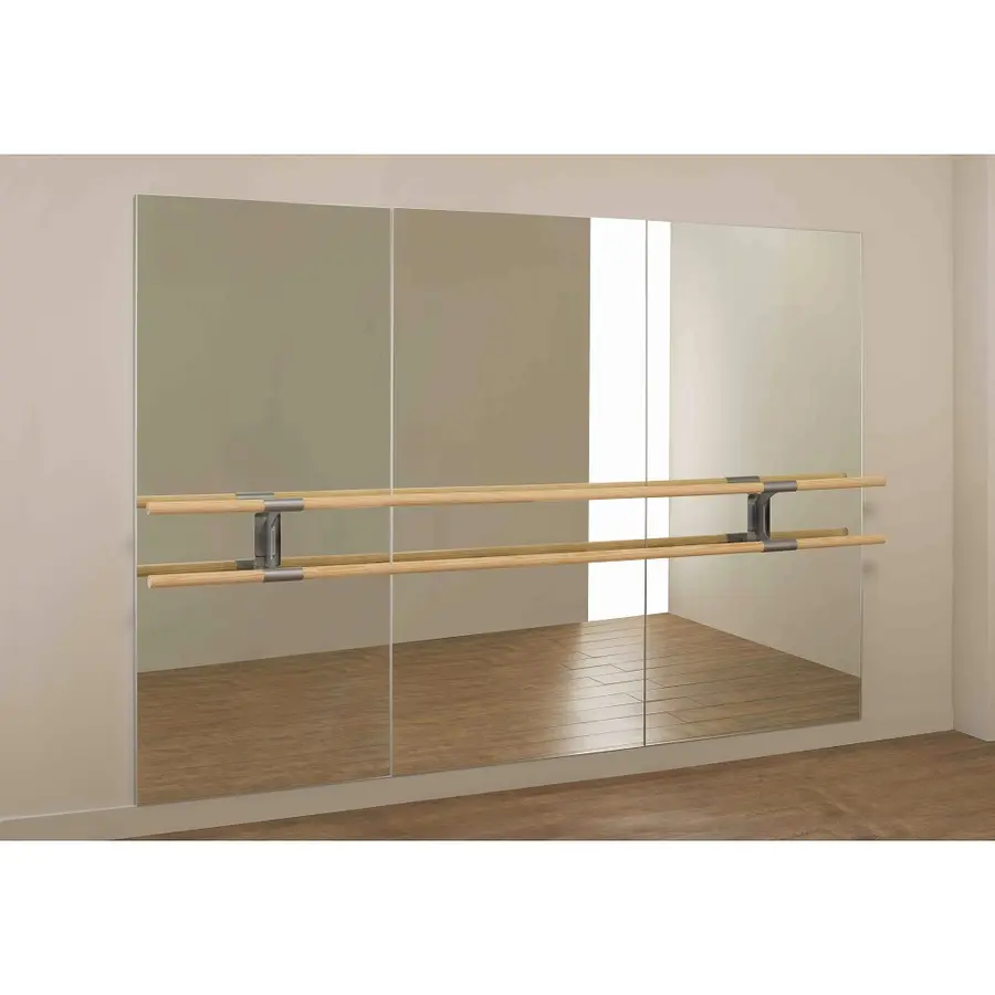 Dinamica Ballet "Amadeus"  Ballet Mirror 