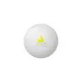 Bordtennisboll Joola 55 mm | 28 st Stor pingisboll | Oversized boll