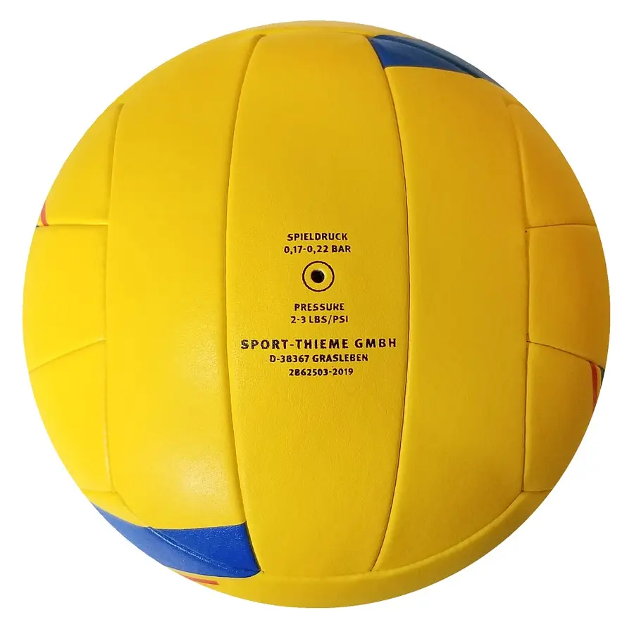 Beachvolleyball Beach Pro Strl 5 