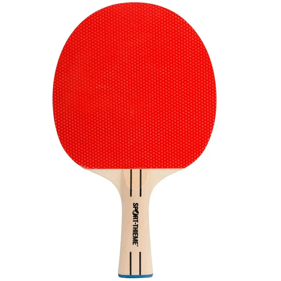 Bordtennisracket Skola Fritidshem och Skola 