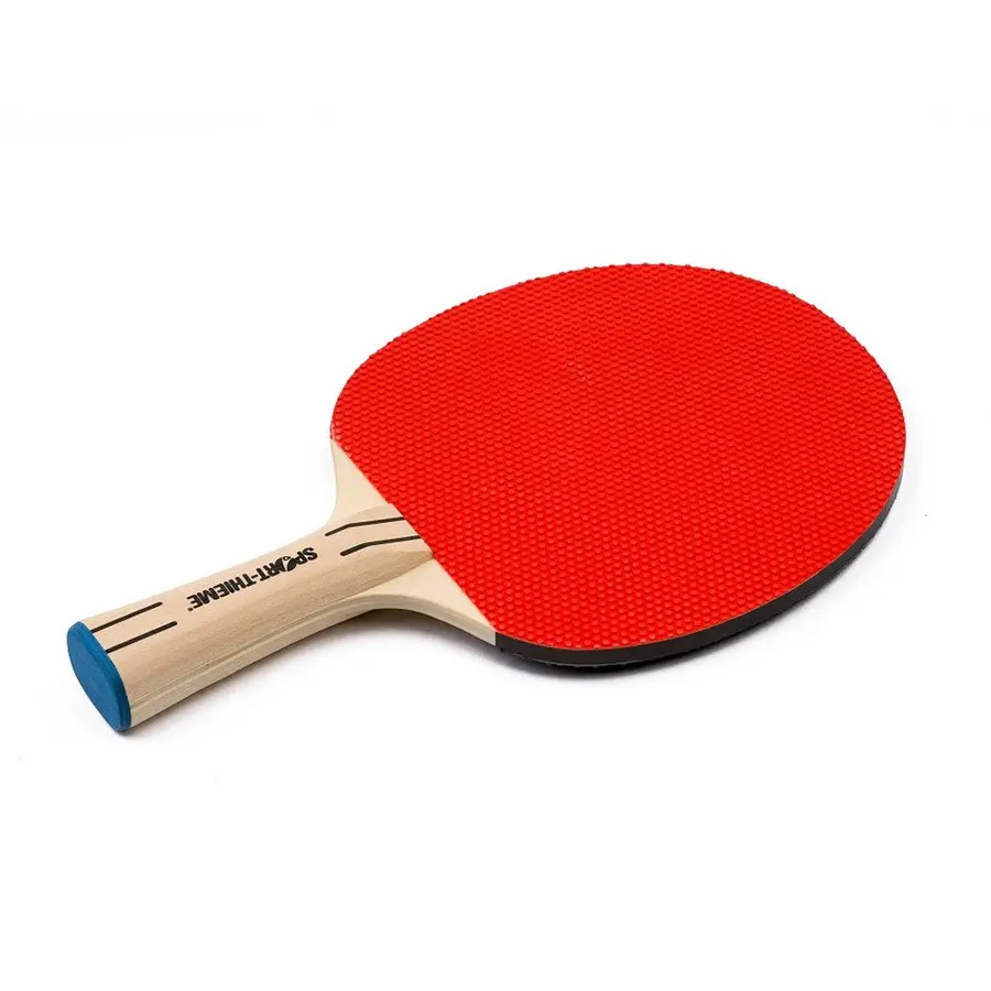 Bordtennisracket Skola Fritidshem och Skola 