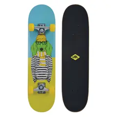 Schildkröt Skateboard Kicker 31 Skateboard| Nybörjare