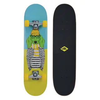 Schildkröt Skateboard Kicker 31 Skateboard| Nybörjare