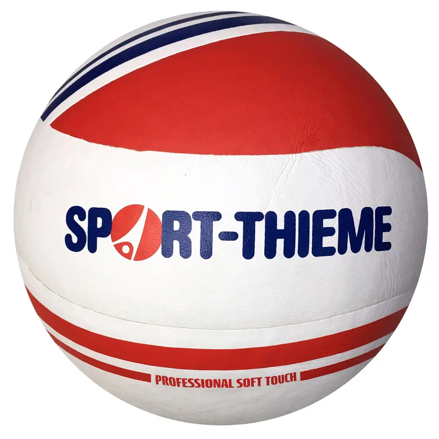 Volleyboll Gold Cup Str. 5 | Träningsboll 