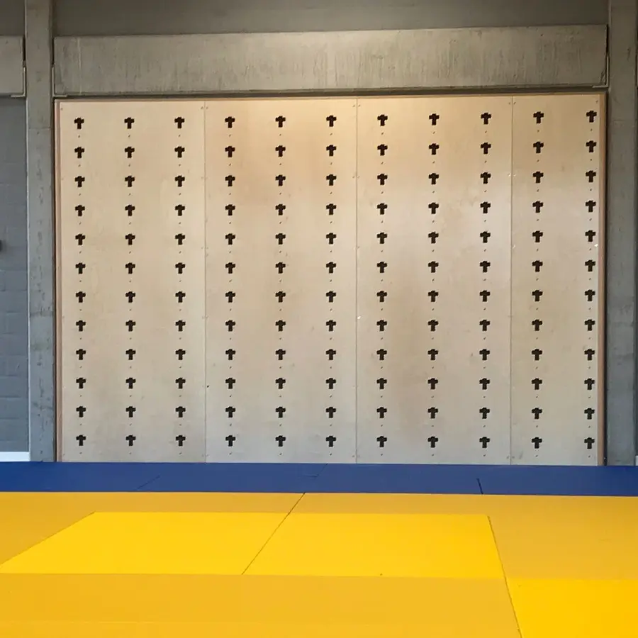 Cube Sports Multifunctional wall 105 x 240 cm 