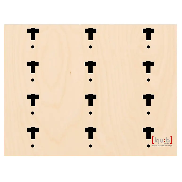 Cube Sports Multifunctional wall 315 x 240 cm 