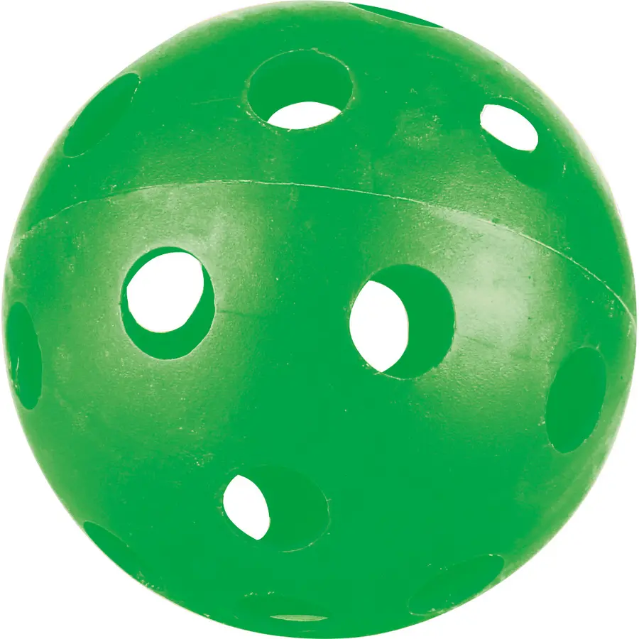 Pickleballset för alla åldrar 2 rack | 1 boll | 1 påse 