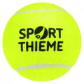 Tennisbollar Bollar för skola och förening