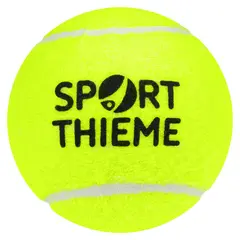 Tennisbollar Bollar för skola och förening
