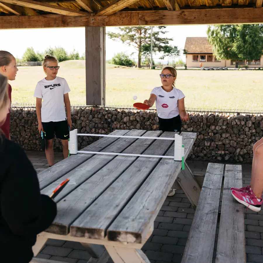 Portabelt utdragbart bordtennisnät Infällbart pingisnät 