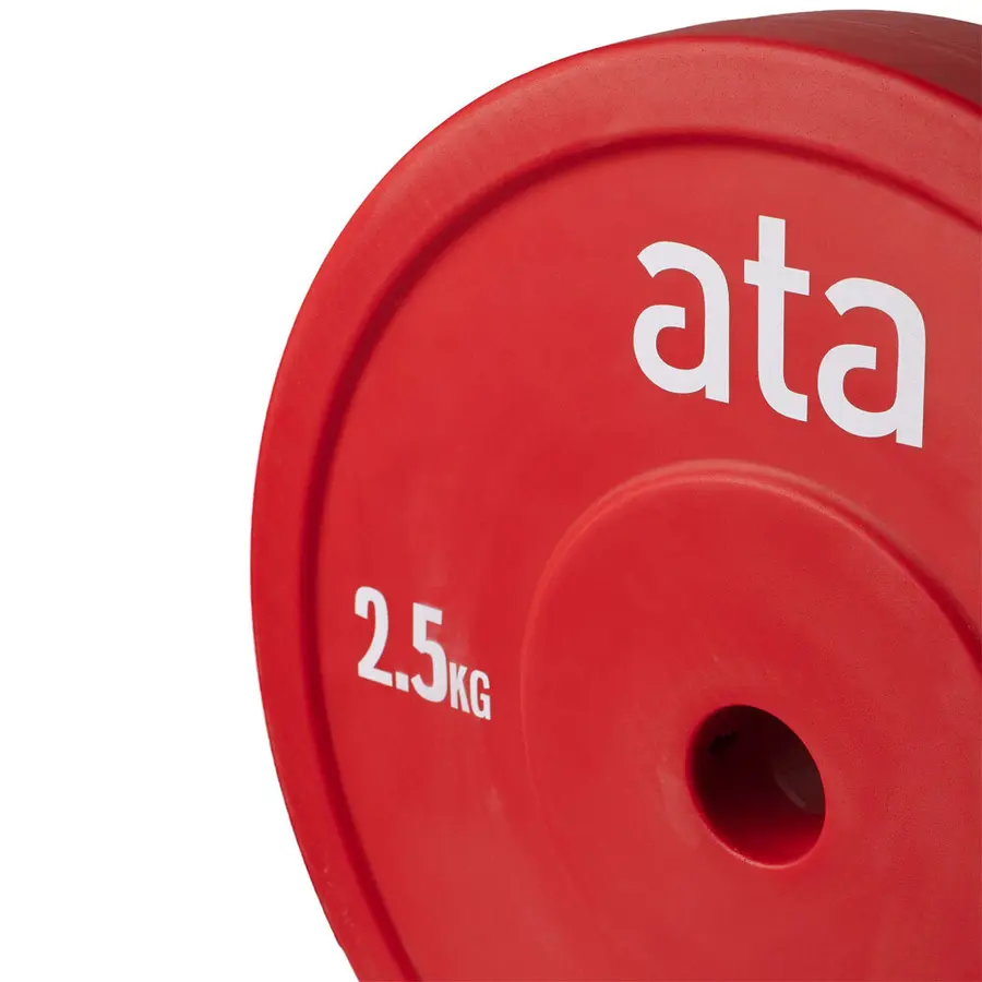 Teknikskiva ata Pro Elite Viktskiva 2 x 2,5 kg 