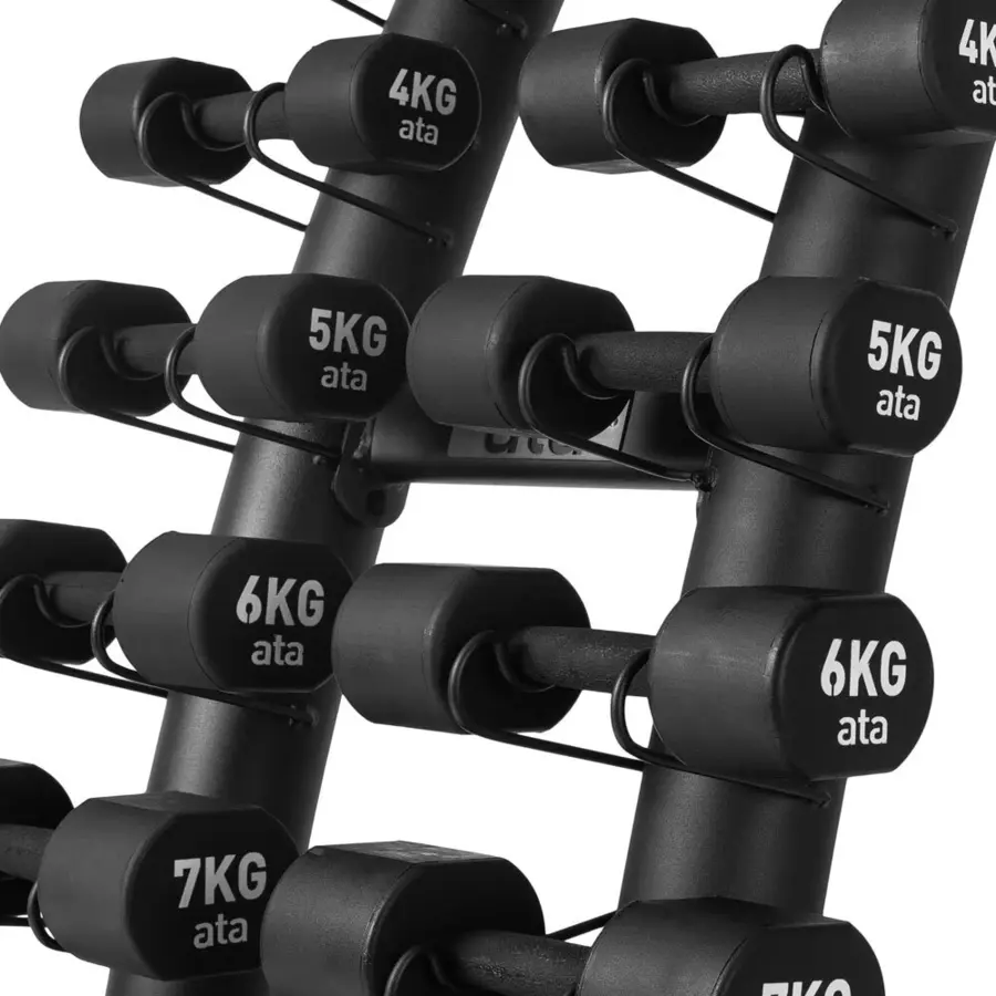 Hantelställ ata Aerobic PU med 1-10 kg 20 st hantlar samt ställning 