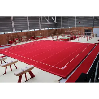 Gymnova Frist&#229;ende 14x14 FIG certifierat | Ej monterade fj&#228;drar