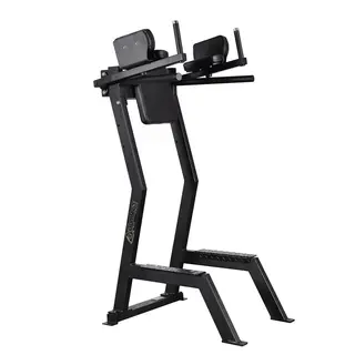 Gymleco Kn&#228;uppdrag med dips Tr&#228;ningsmaskin f&#246;r mage, core och armar