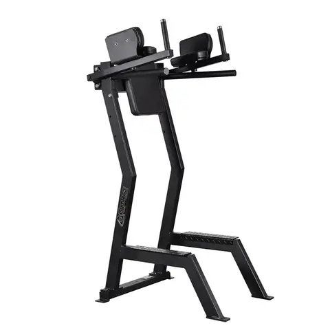 Gymleco Kn&#228;uppdrag med dips Tr&#228;ningsmaskin f&#246;r mage, core och armar