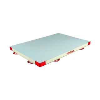 Flipperdyna Gymnova 200x140x10 cm Extra nedslagsb&#228;dd