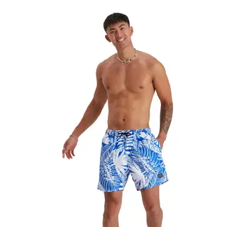 Printed Leisure 16 Badeshorts Speedo | Badeshorts | Blå/Hvit