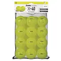 Pickleball X-40 Utomhusboll  Optic 12 st Pickelboll  match | Godk&#228;nda av USAPA