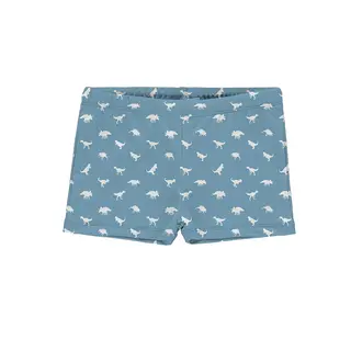 Dino Petrol Badbyxa Slipstop | Bl&#229;/Vit | Polyester/Elastan
