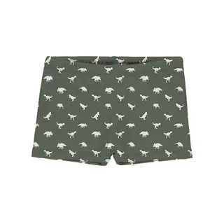 Dino Green Badbyxa Slipstop | Gr&#246;n/Vit | Polyester/Elastan
