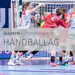Tr&#228;ningspaket f&#246;r skadefri handboll 5 mattor och 5 tr&#228;ningsband