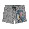 Goliath Short Badbyxa Slipstop | Gr&#229;/Flerf&#228;rgad | Polyester