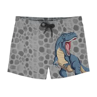 Goliath Short Badbyxa Slipstop | Gr&#229;/Flerf&#228;rgad | Polyester
