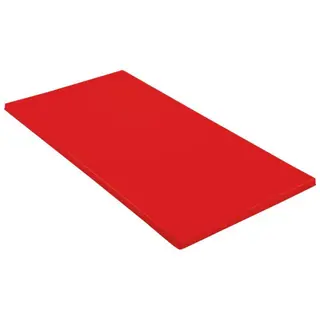 Lekmatta 200 x 100 x 4 cm | R&#246;d Matta med halkskydd