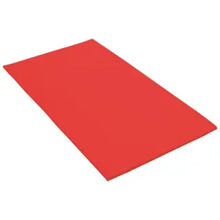 Lekmatta 200 x 100 x 2 cm | R&#246;d Matta med kardborre och halkskydd