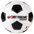 Fotboll Sport-Thieme Träning Träningsboll för de yngre | Gräs